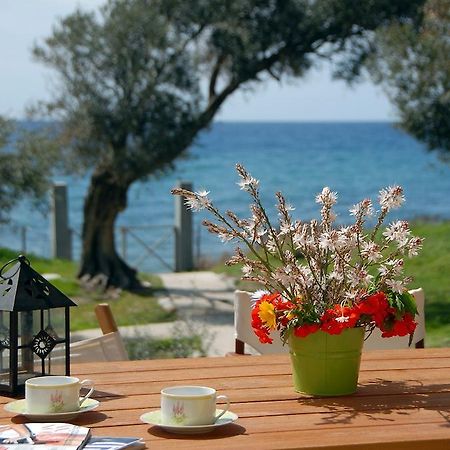 Melinda Holiday House Plomari Pokój zdjęcie