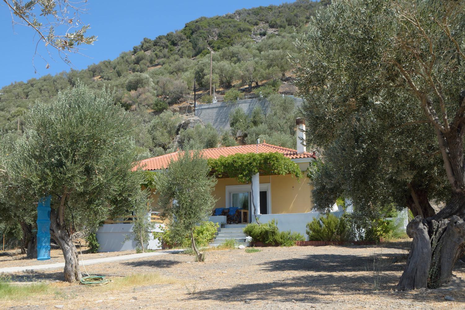 Melinda Holiday House Plomari Zewnętrze zdjęcie